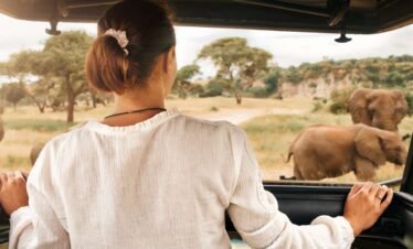3 Hour Private Game Drive in Pilanesberg National Park