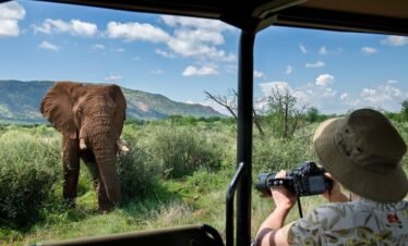 3 Hour Shared Game Drive in Pilanesberg National Park