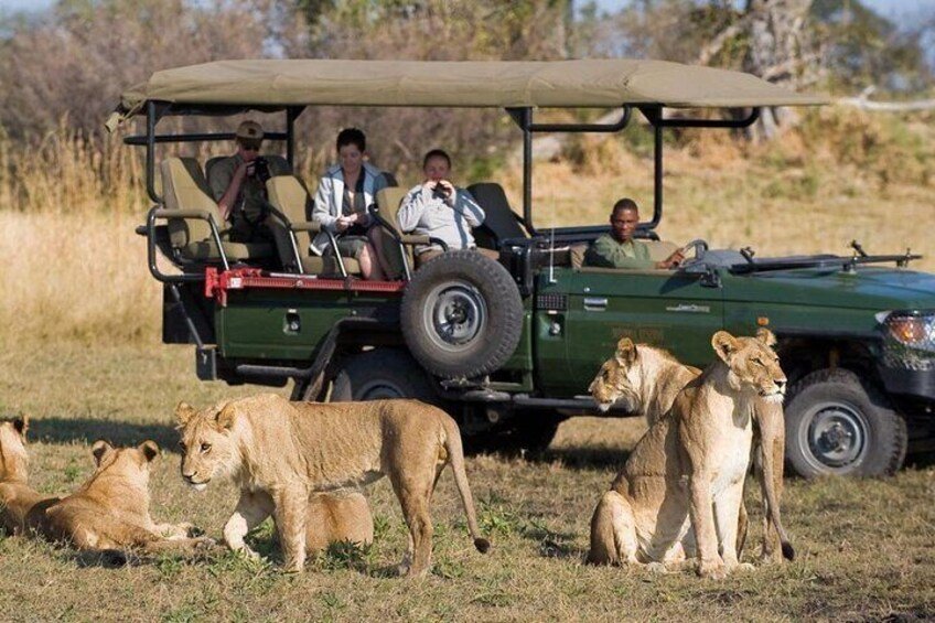 adventure safari